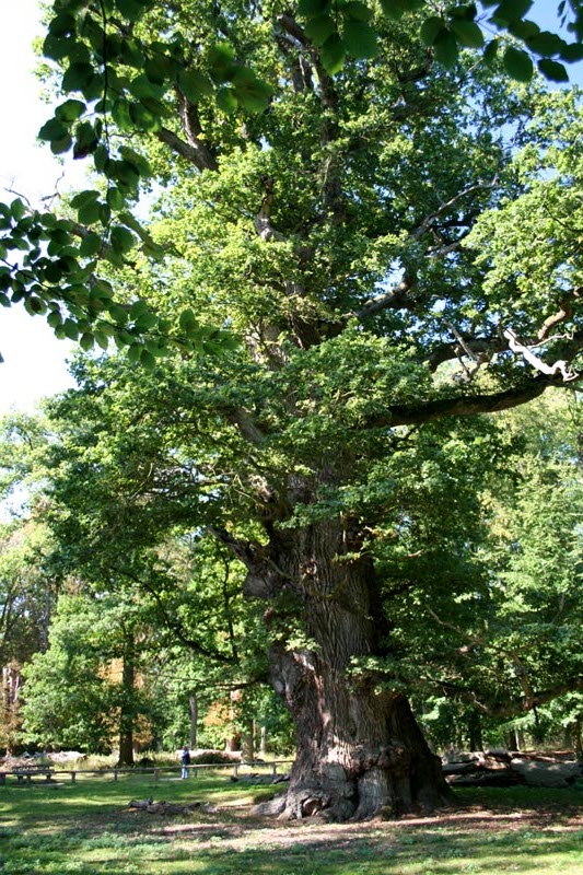 Killikus® Fotographie Killikus® Fotographie